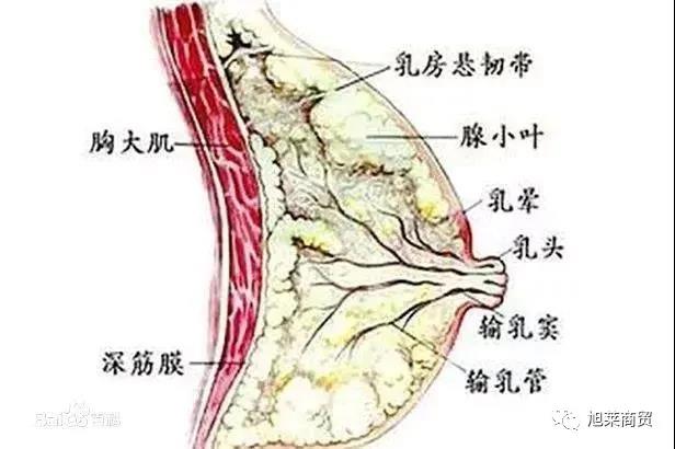 光波能量7.jpg